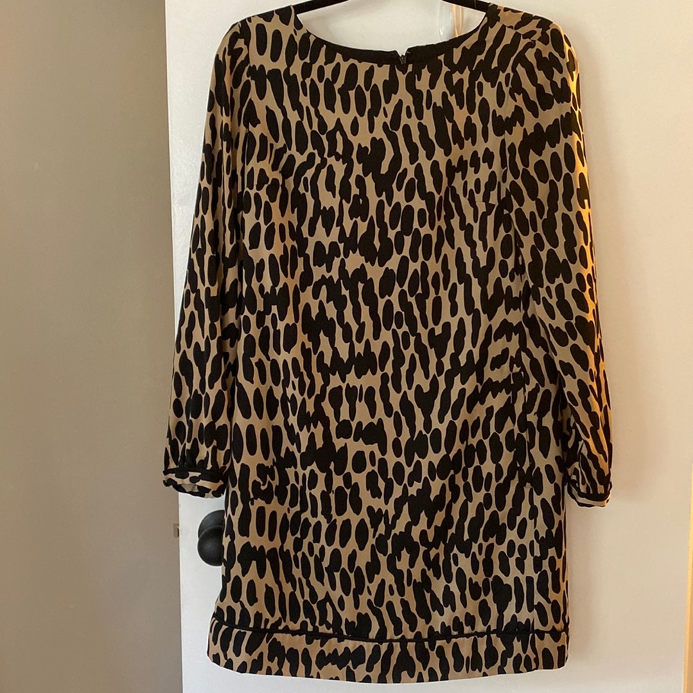 Ann Taylor Loft dress 4